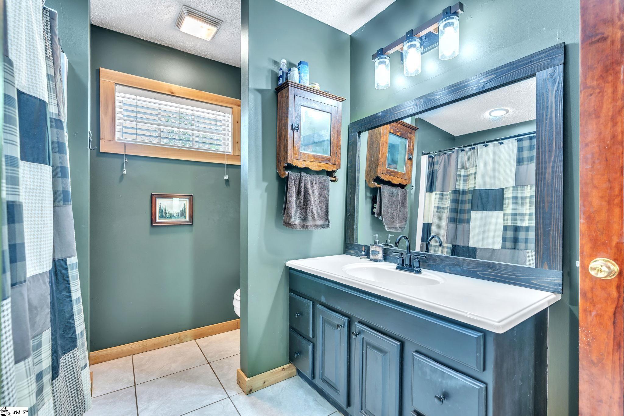 189 Caledonia Road Landrum, SC 29356 - Photo 21 of 42