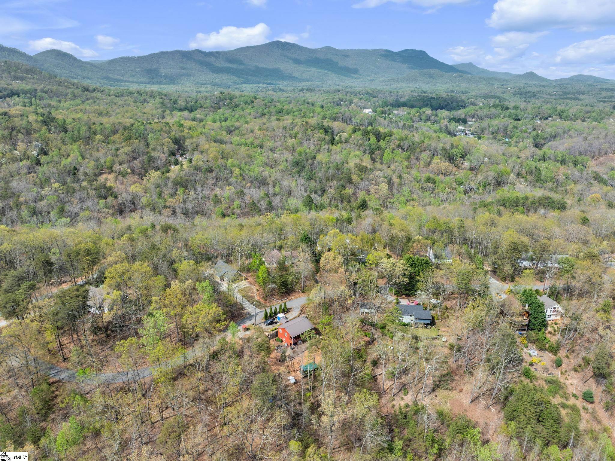 189 Caledonia Road Landrum, SC 29356 - Photo 34 of 42