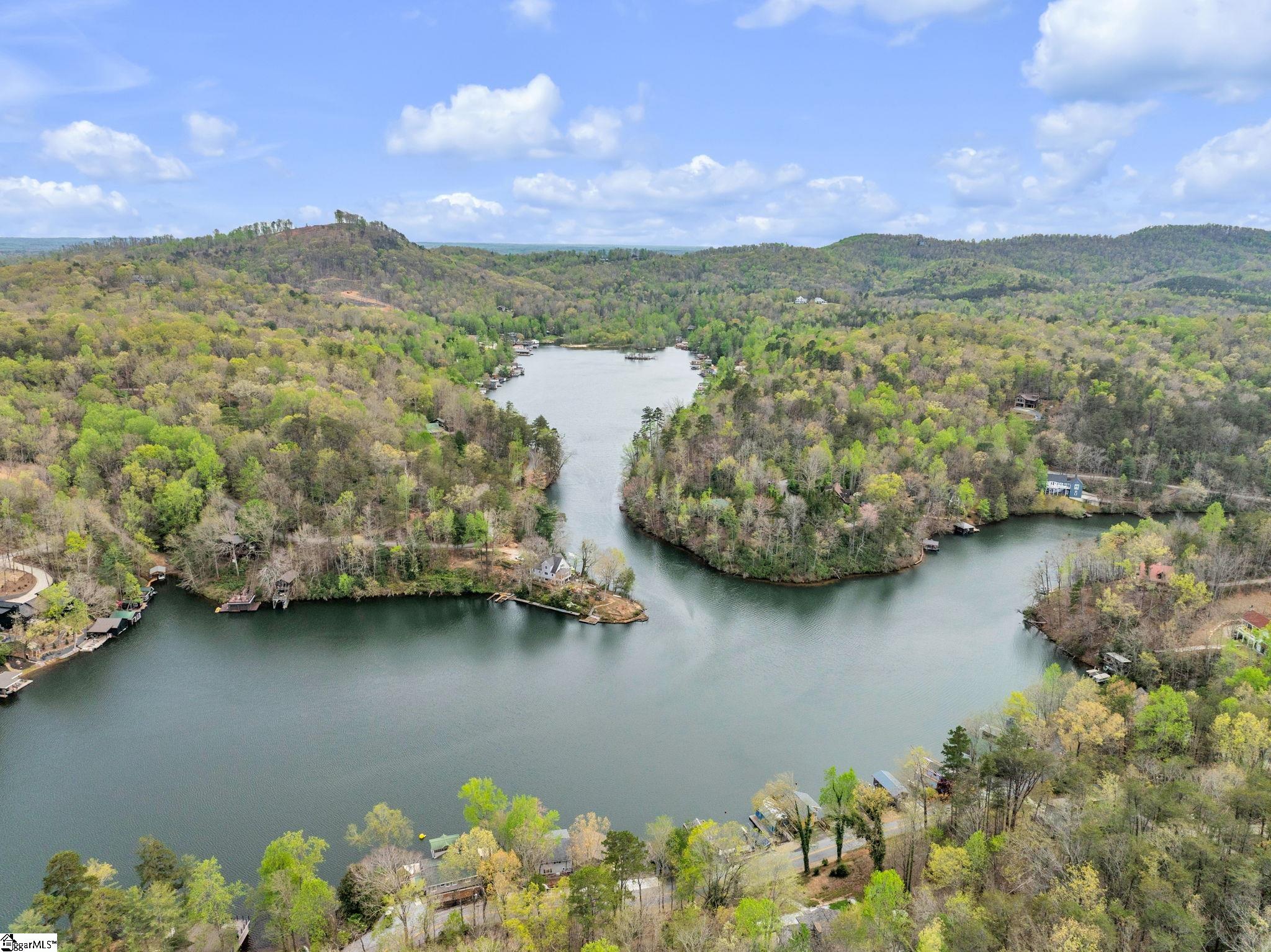 189 Caledonia Road Landrum, SC 29356 - Photo 35 of 42