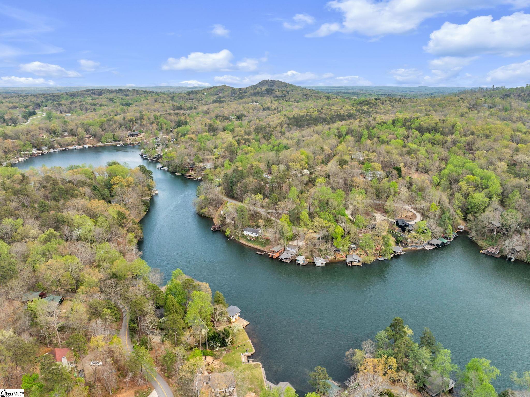 189 Caledonia Road Landrum, SC 29356 - Photo 36 of 42