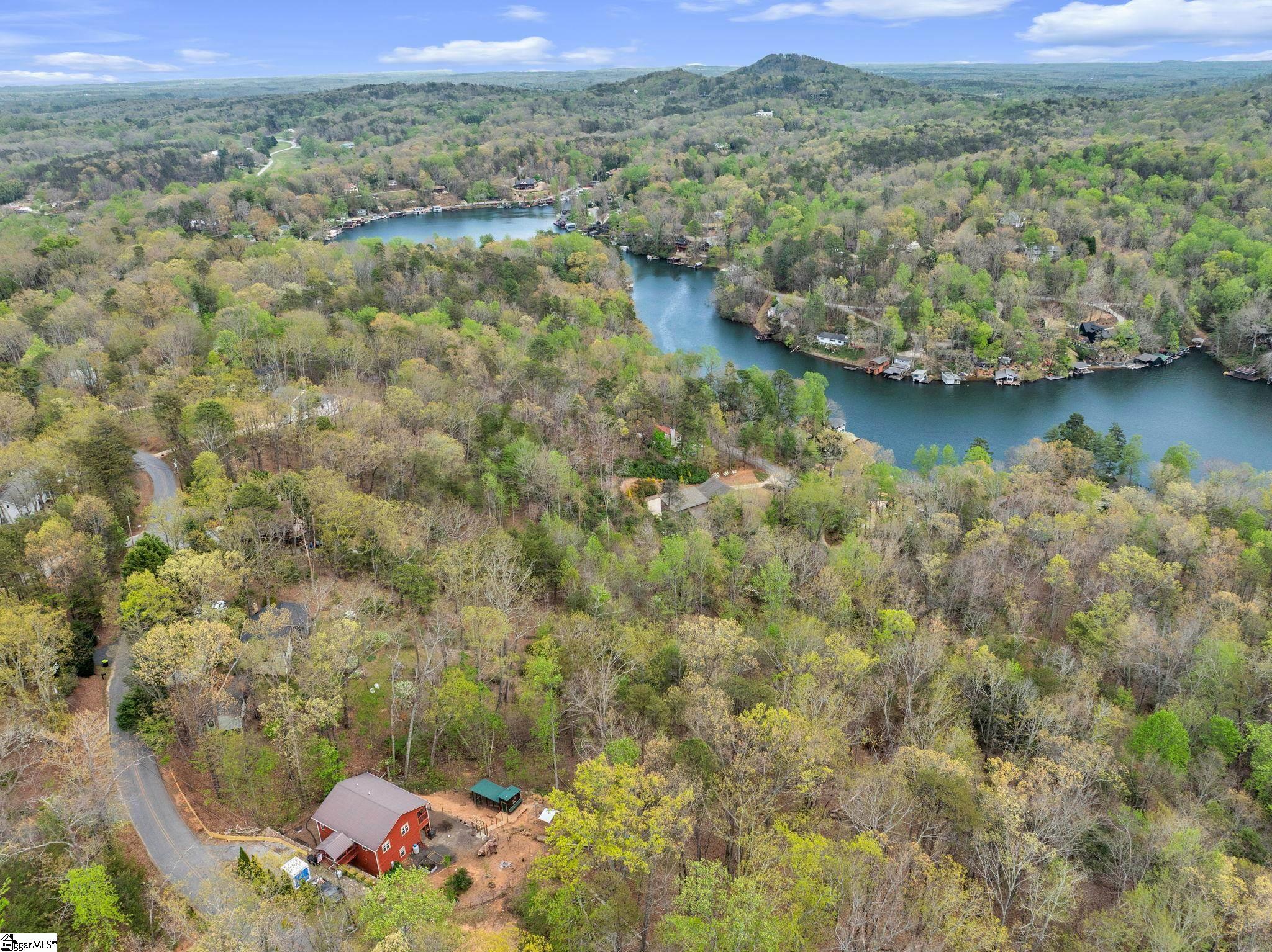 189 Caledonia Road Landrum, SC 29356 - Photo 37 of 42