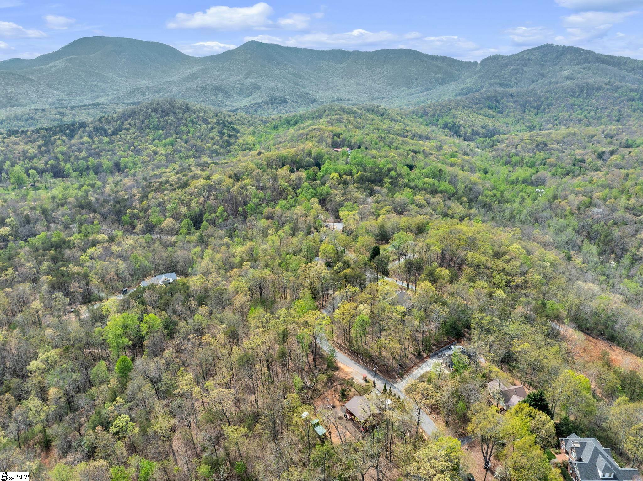 189 Caledonia Road Landrum, SC 29356 - Photo 38 of 42