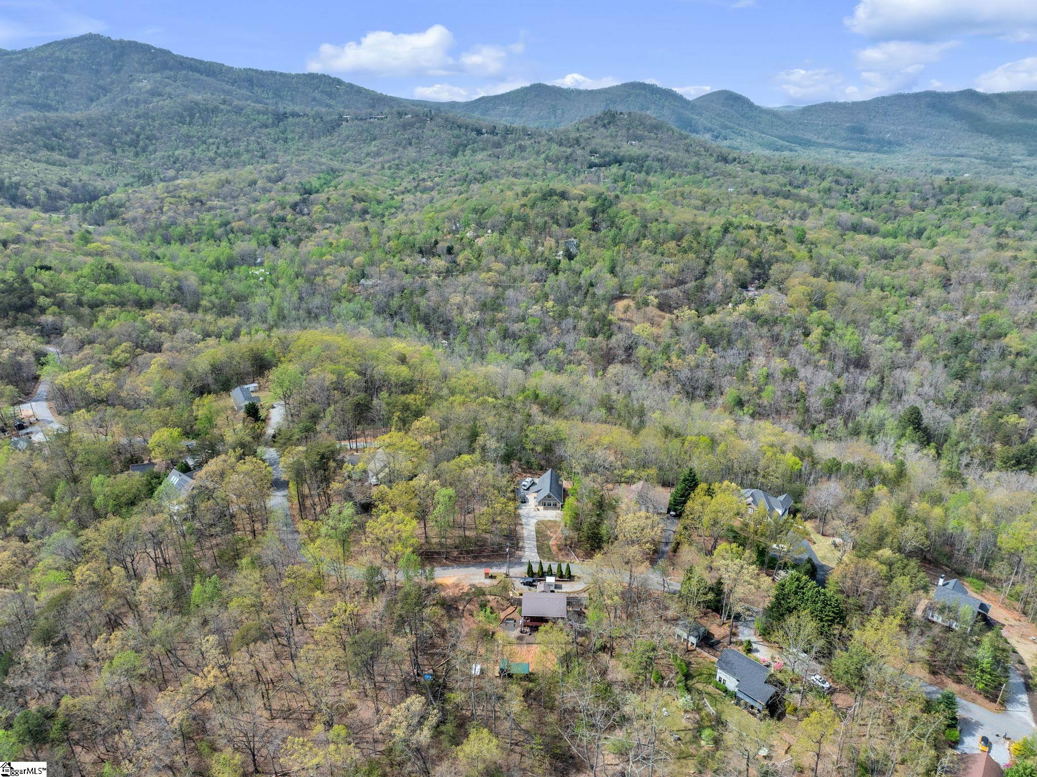 189 Caledonia Road Landrum, SC 29356 - Photo 39 of 42