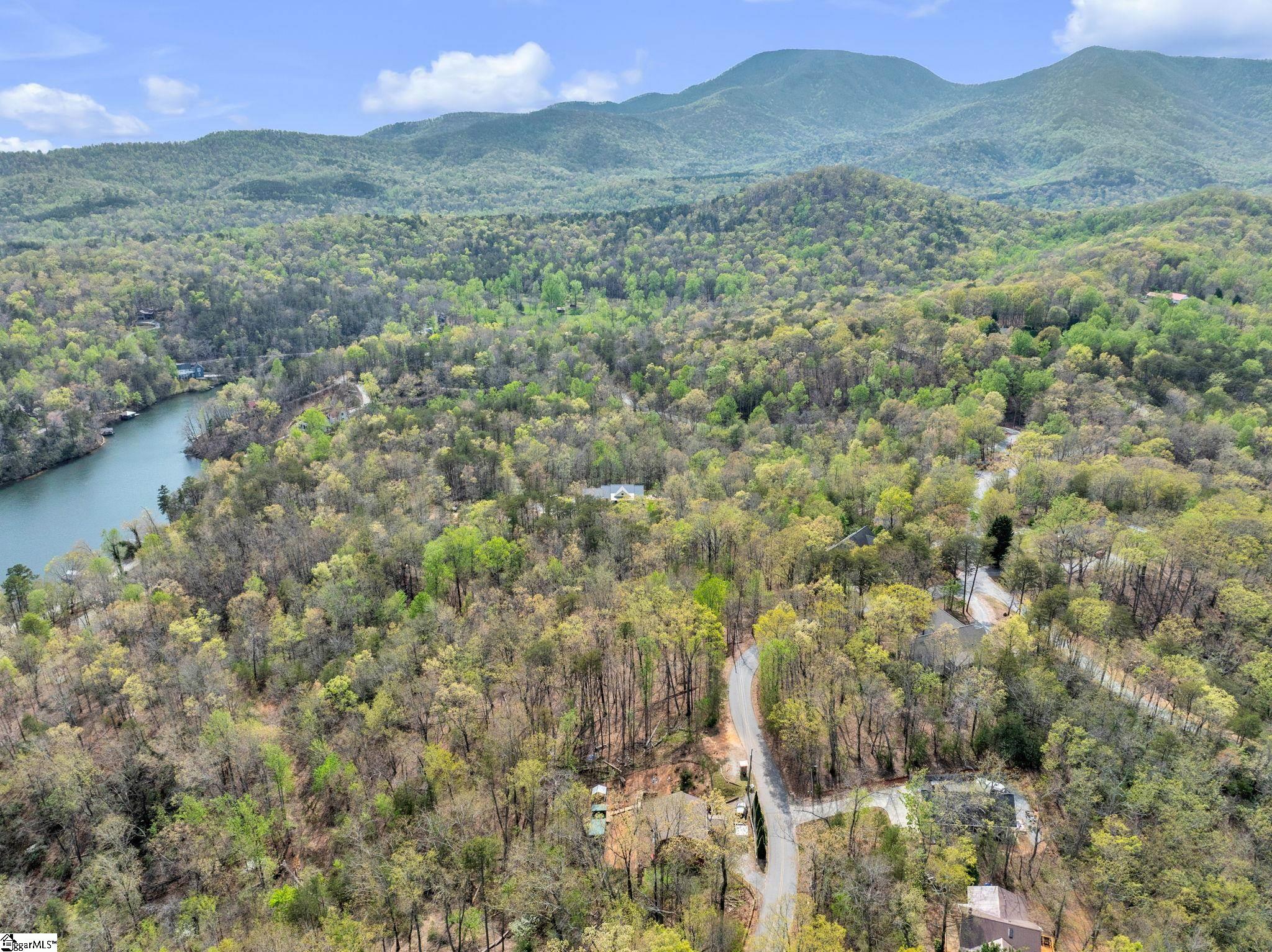 189 Caledonia Road Landrum, SC 29356 - Photo 40 of 42