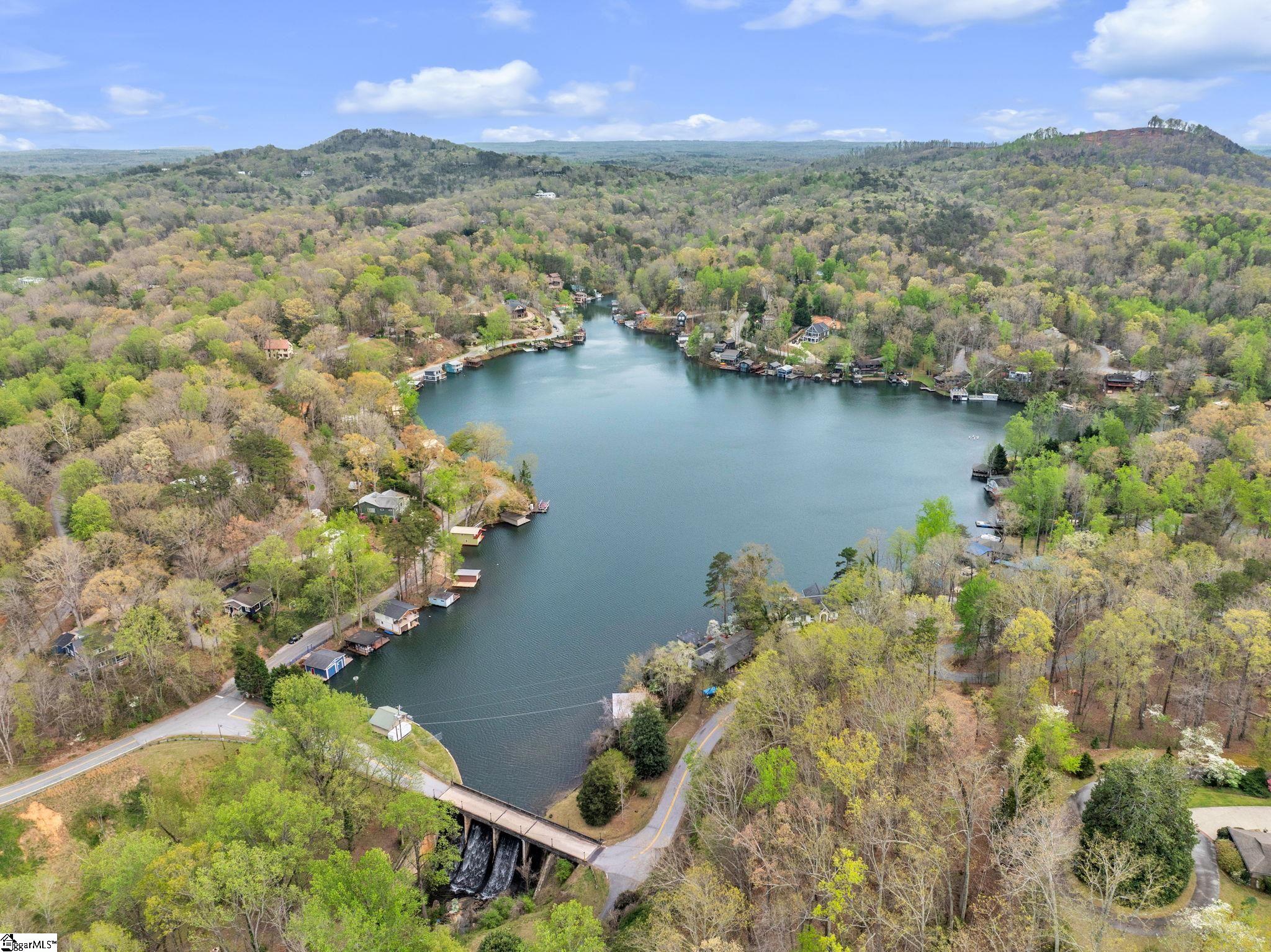 189 Caledonia Road Landrum, SC 29356 - Photo 4 of 42