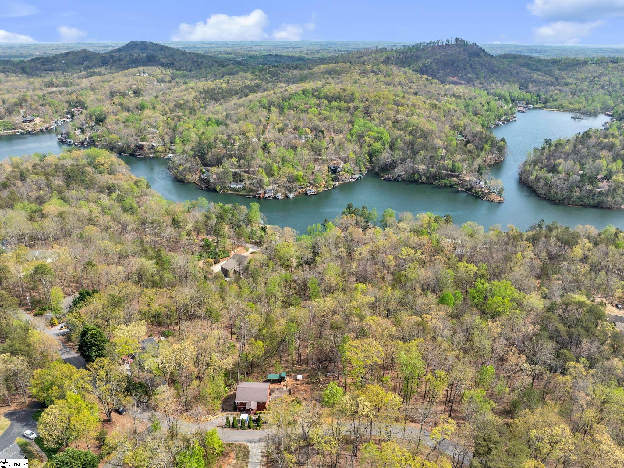 189 Caledonia Road Landrum, SC 29356 - Photo 41 of 42