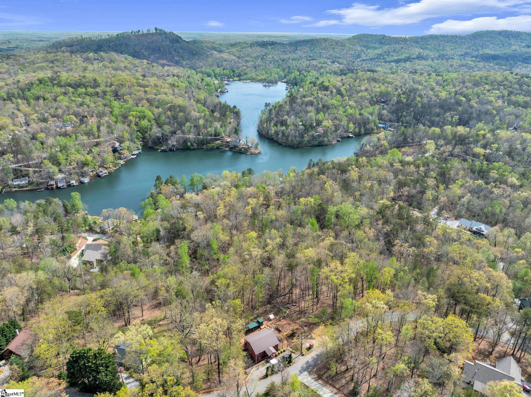 189 Caledonia Road Landrum, SC 29356 - Photo 42 of 42