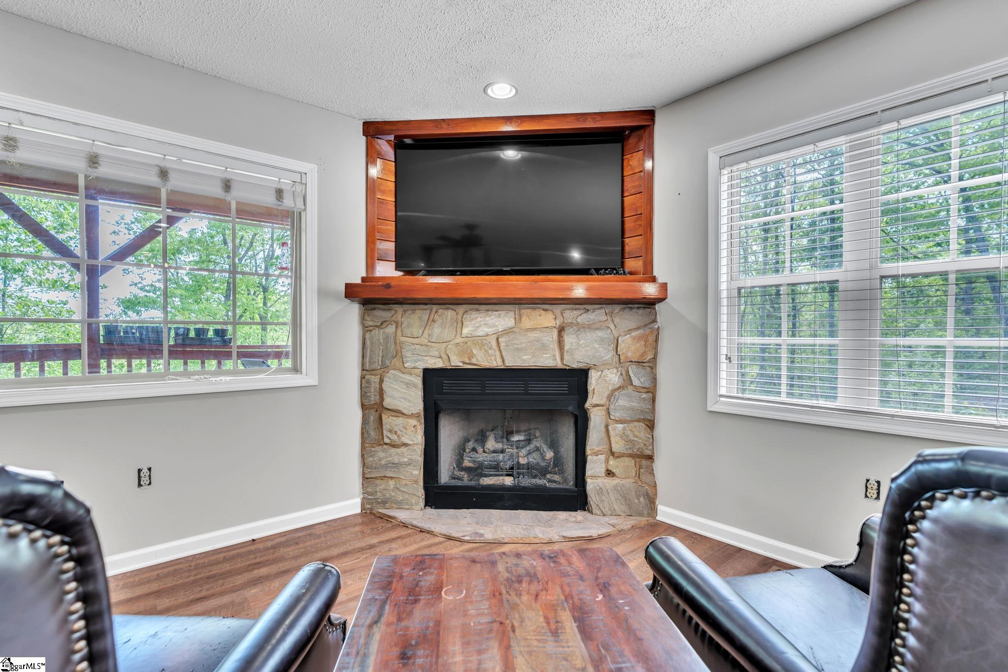 189 Caledonia Road Landrum, SC 29356 - Photo 6 of 42