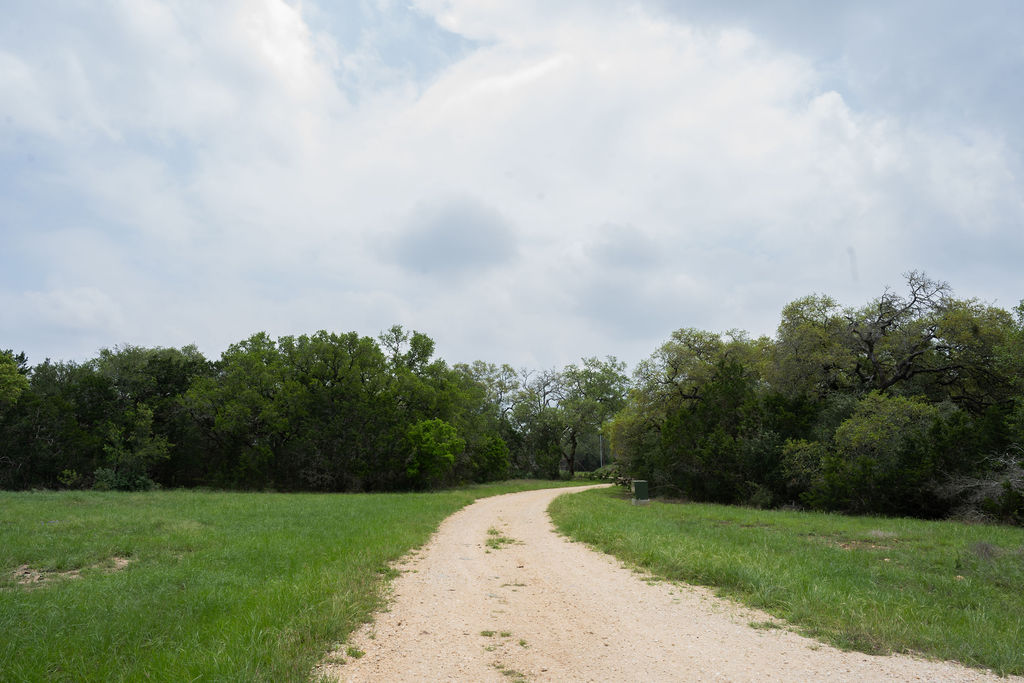 426 Mill Run New Braunfels, TX 78132 - Photo 7 of 40 a backyard of a house with lots of green space and fog