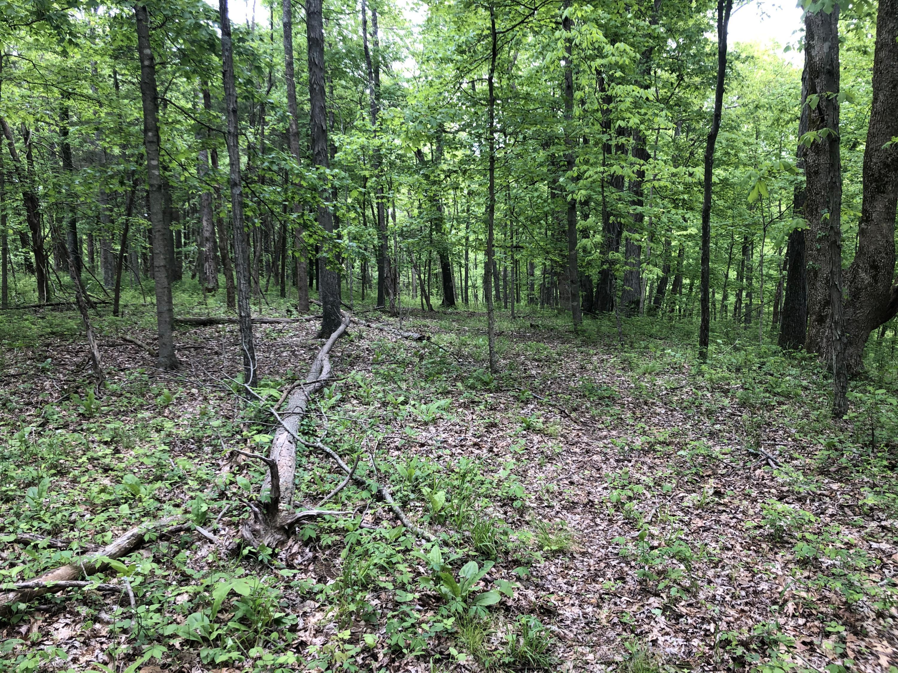 1650 Greens Chapel Road Bloomfield, KY 40008 - Photo 24 of 34 Wood 3