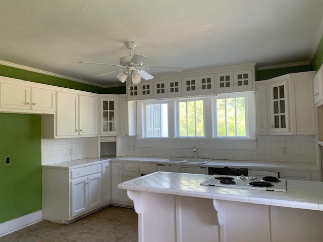 1919 Bethel Road Pulaski, TN 38478 - Photo 3 of 16 a kitchen with granite countertop a sink cabinets and window