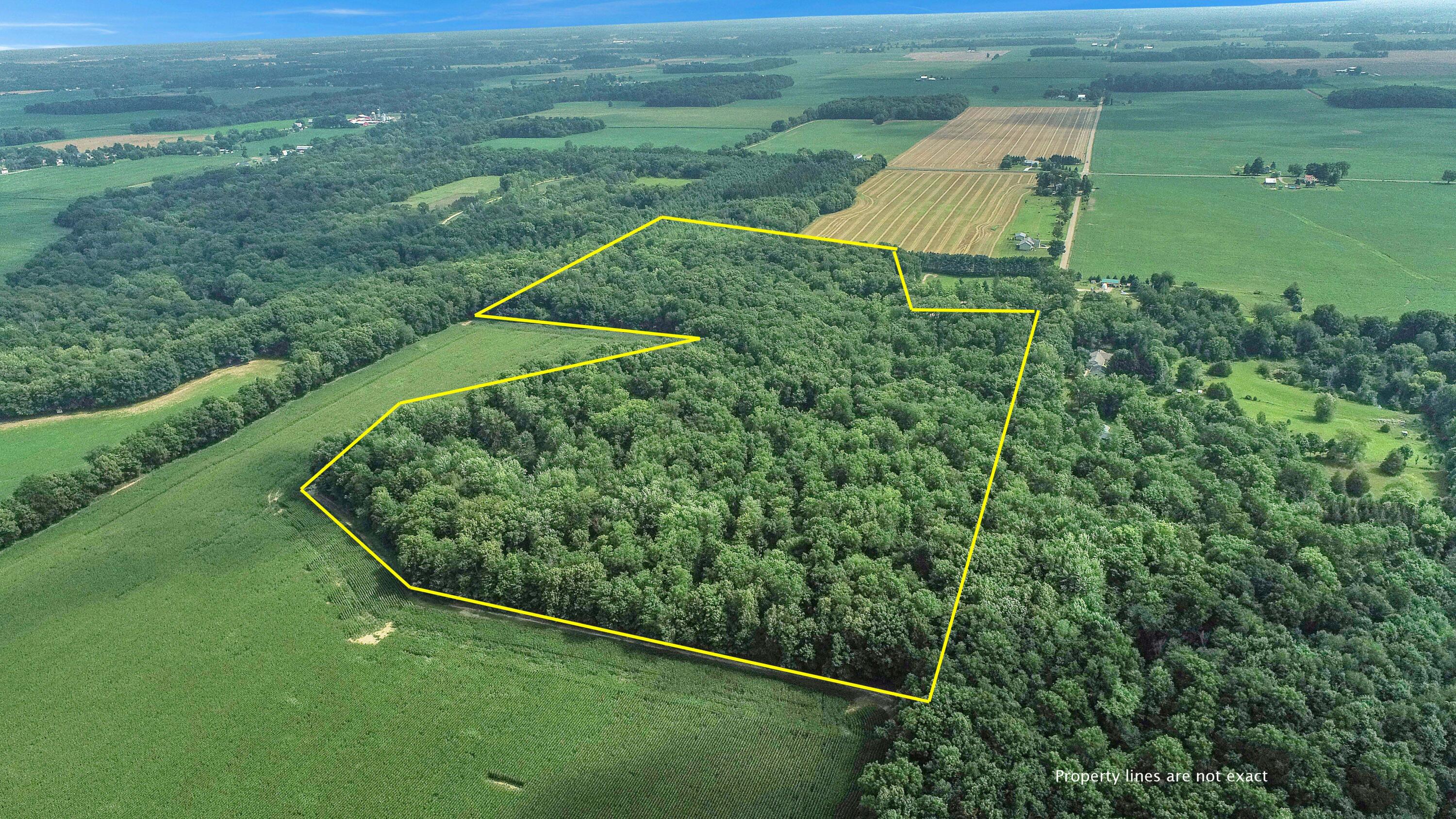 0 South Petrie Road Sunfield, MI 48890 - Photo 1 of 15 sunfieldlines