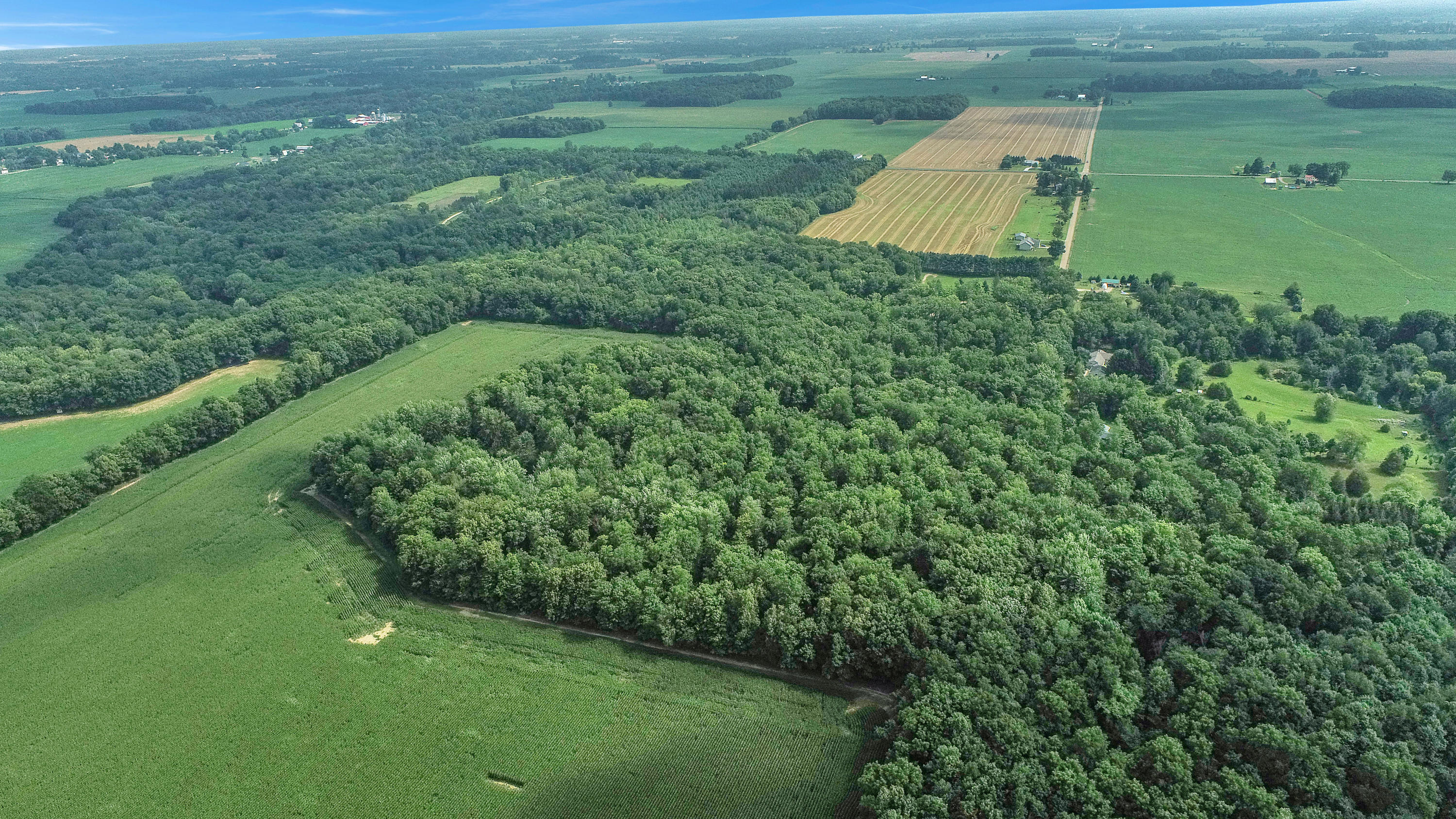 0 South Petrie Road Sunfield, MI 48890 - Photo 6 of 15 DJI_0141