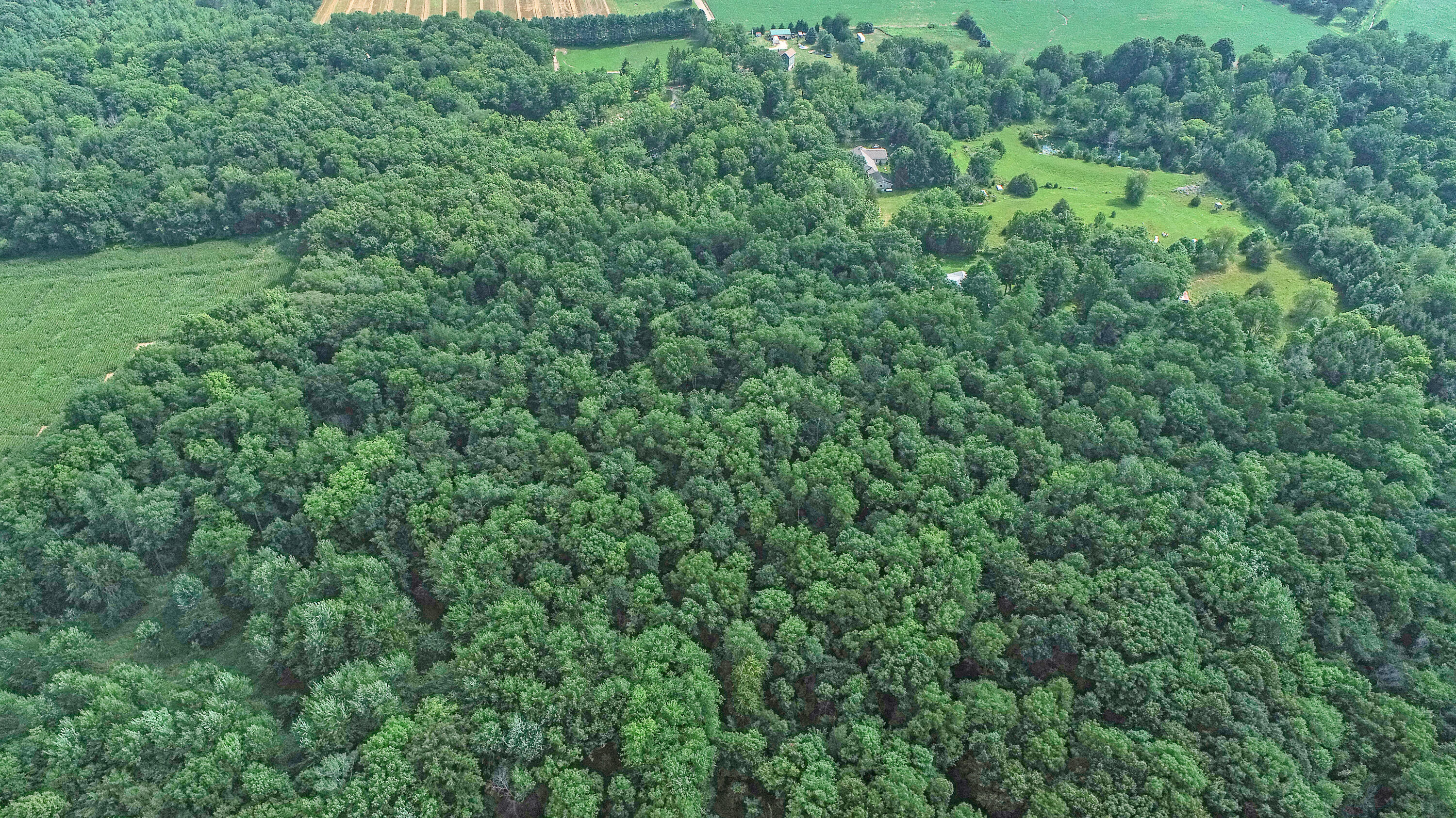 0 South Petrie Road Sunfield, MI 48890 - Photo 8 of 15 DJI_0144