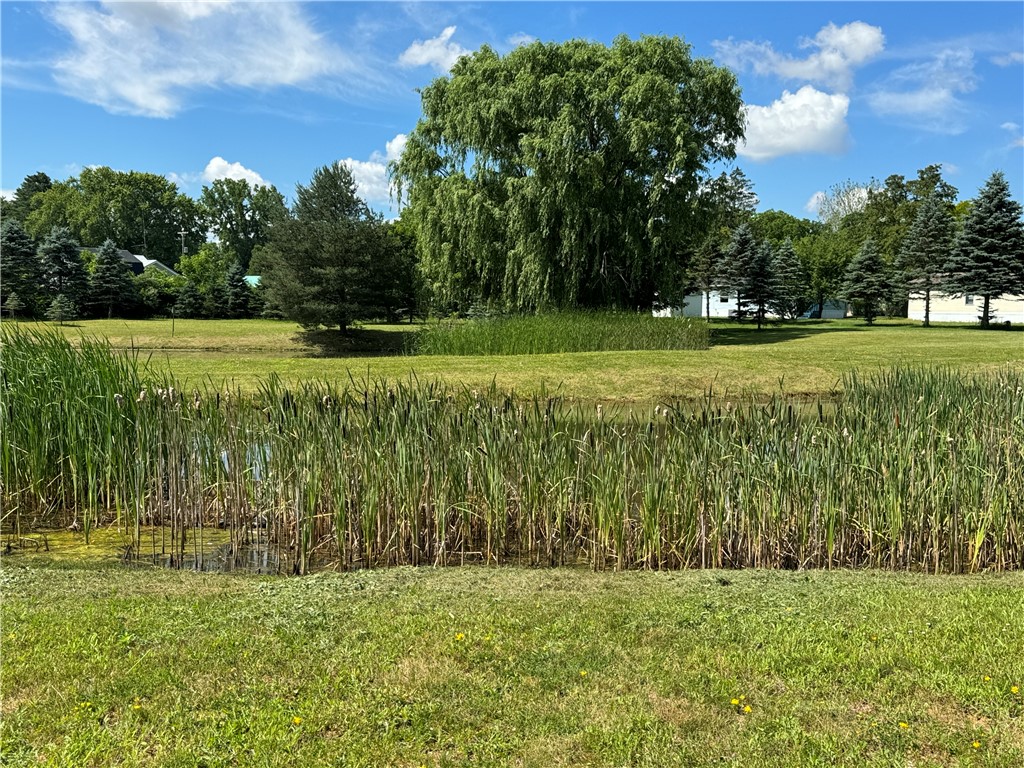 1021 Waterloo Geneva Road, Unit 84 Waterloo, NY 13165 - Photo 19 of 19