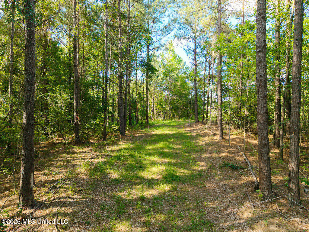 Trickhambridge Road Brandon, MS 39042 - Photo 18 of 30 dji_fly_20260610_164902_0198_17811286045