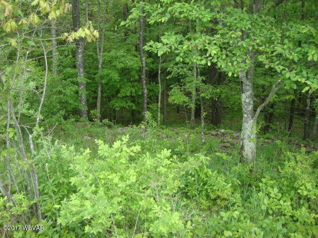97 Mitchell Road Benton, PA 17814 - Photo 14 of 23 Property View