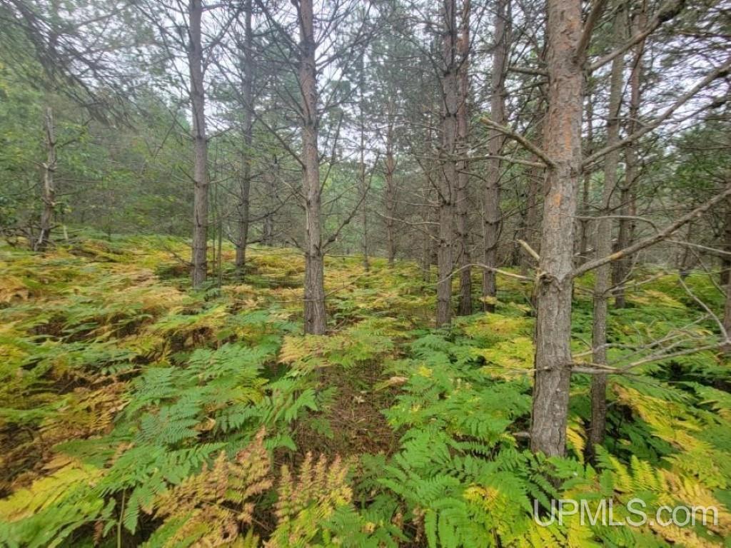 Tbd Tbd Connors Road Munising, MI 49862 - Photo 2 of 3