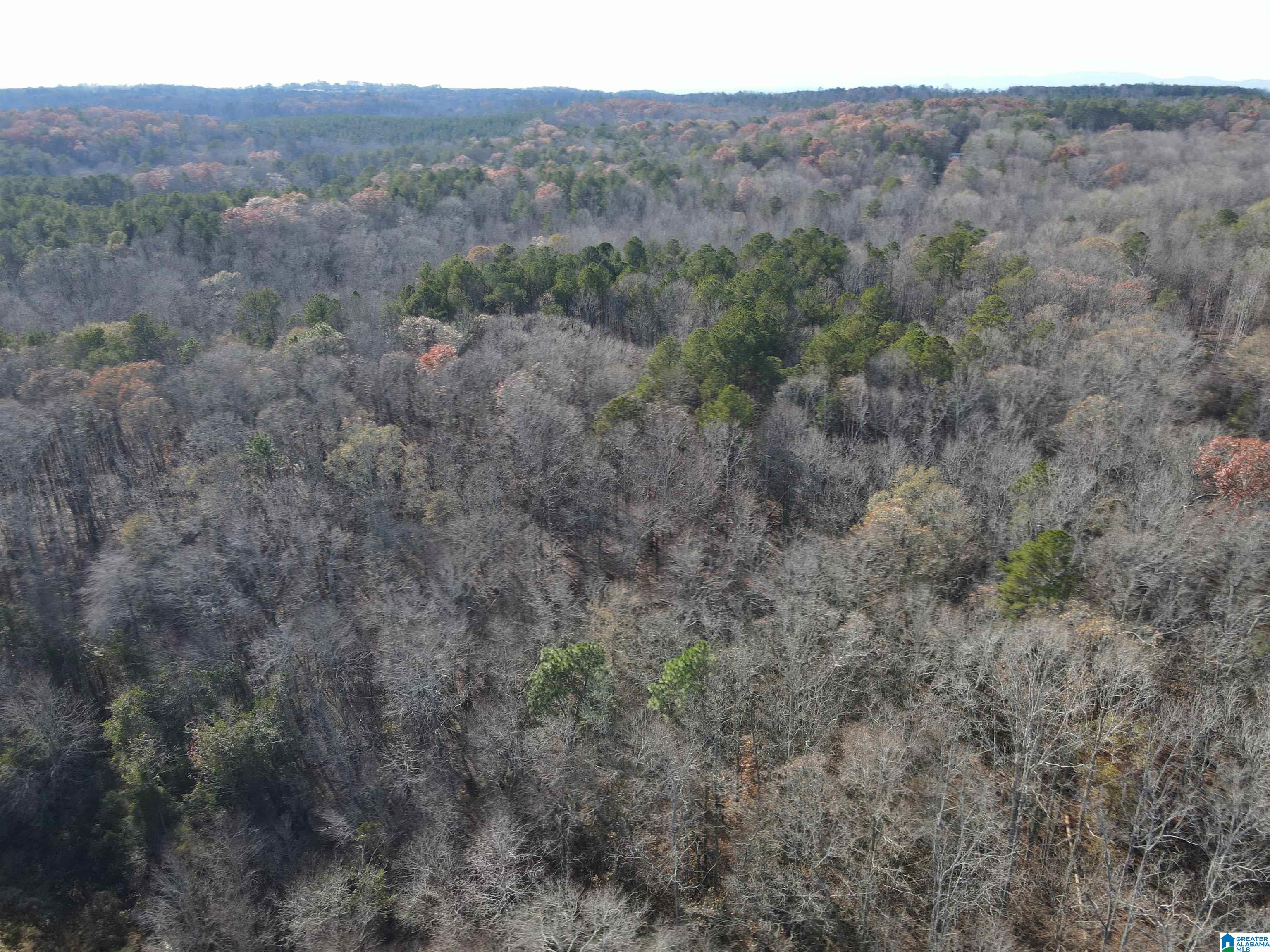 0 County Road 208 Heflin, AL 36264 - Photo 10 of 10