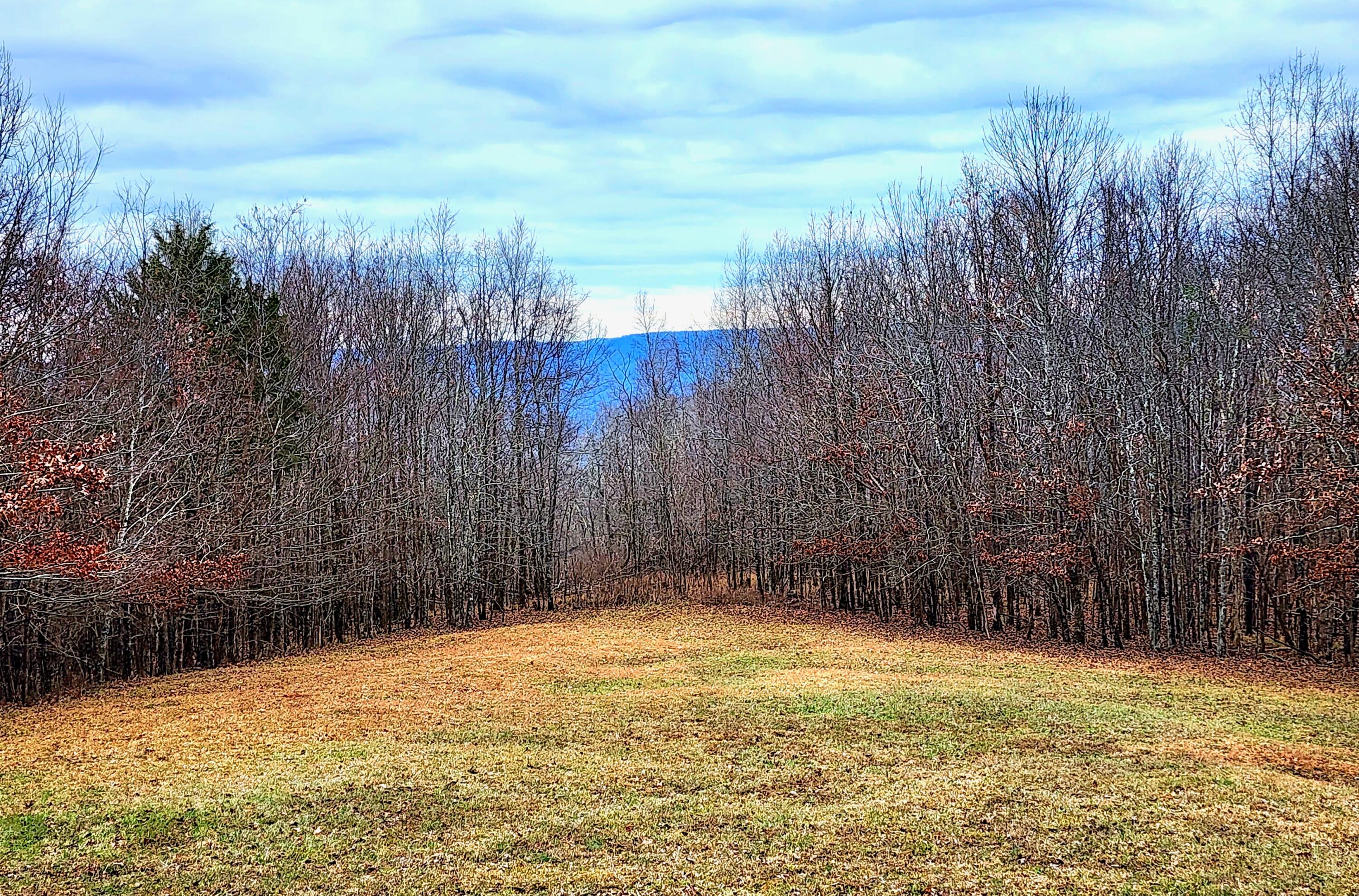 3818 Sherwood Road Sewanee, TN 37375 - Photo 43 of 53 view2