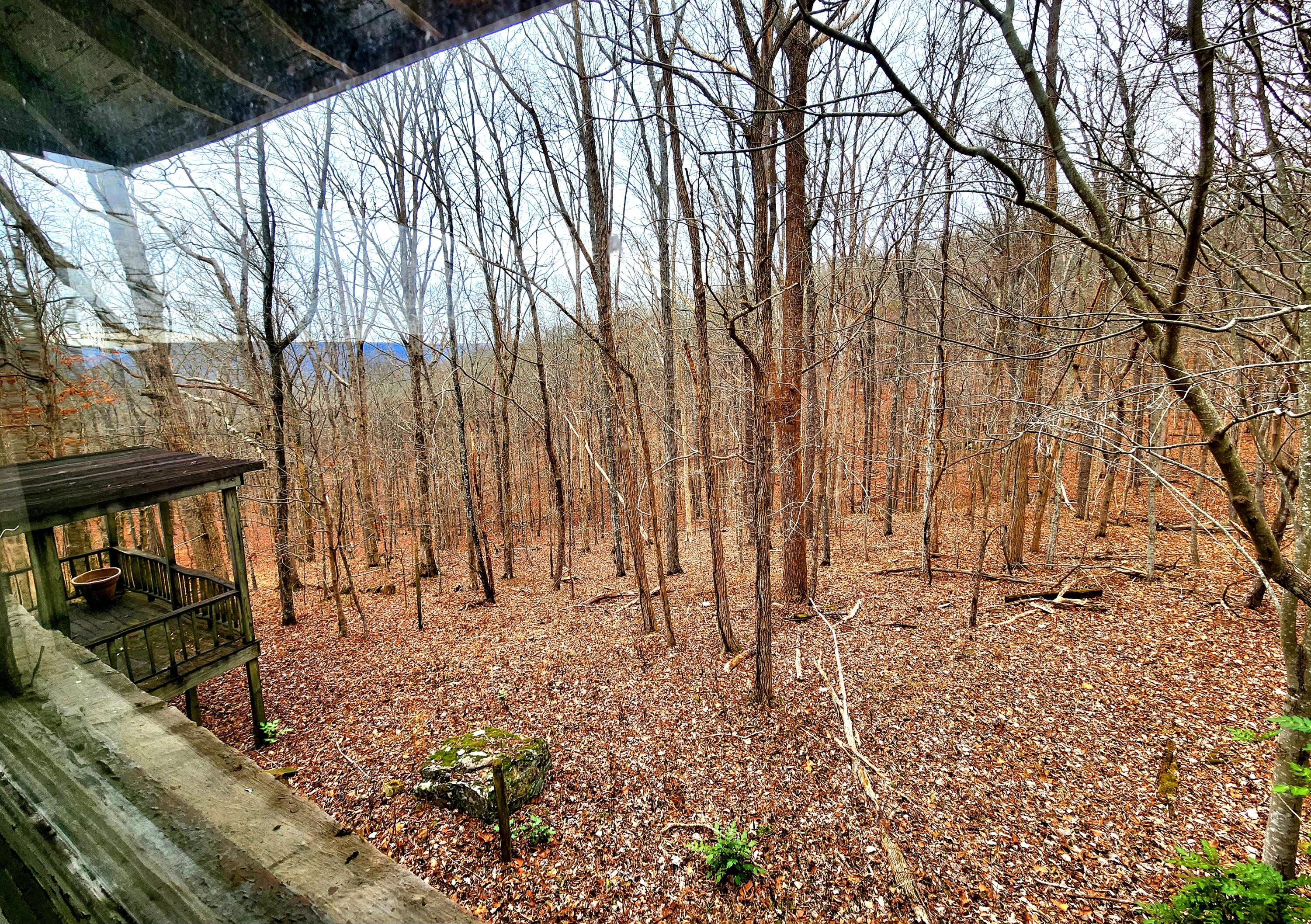 3818 Sherwood Road Sewanee, TN 37375 - Photo 47 of 53 property