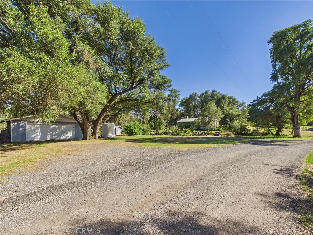 4208 Ramsden Road Mariposa, CA 95338 - Photo 4 of 42 a view of a field with trees in the background