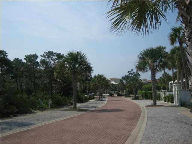 Lot 8 White Cliffs Boulevard Santa Rosa Beach, FL 32459 - Photo 18 of 23 a view of a yard with a palm trees