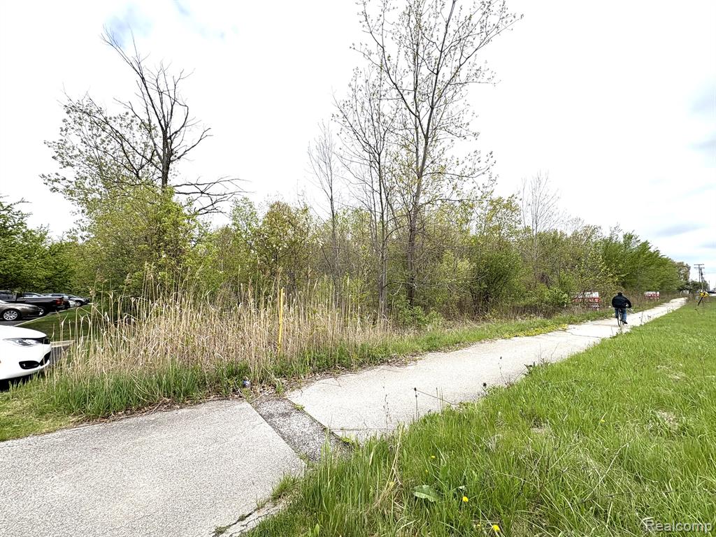 0 Allen Road Trenton, MI 48183 - Photo 2 of 4