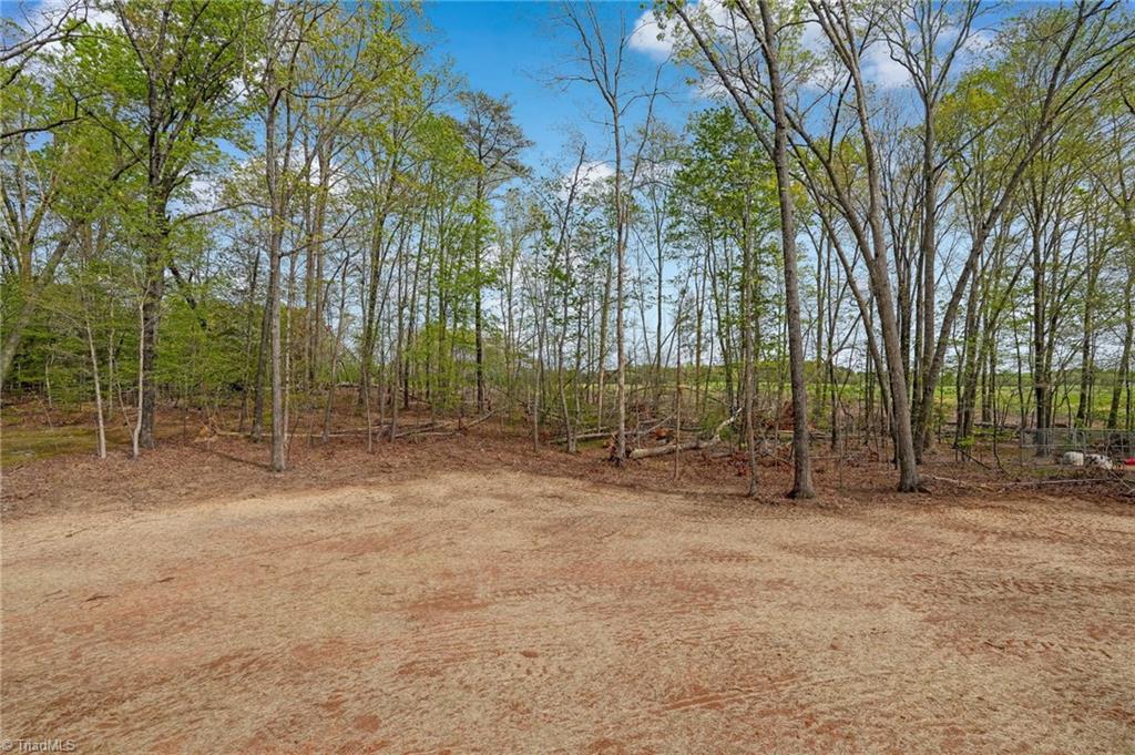 140 Bud Road Reidsville, NC 27320 - Photo 43 of 49