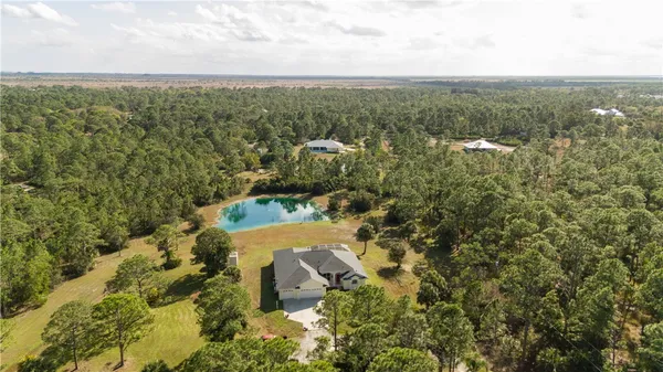 view of a city with lush green forest
