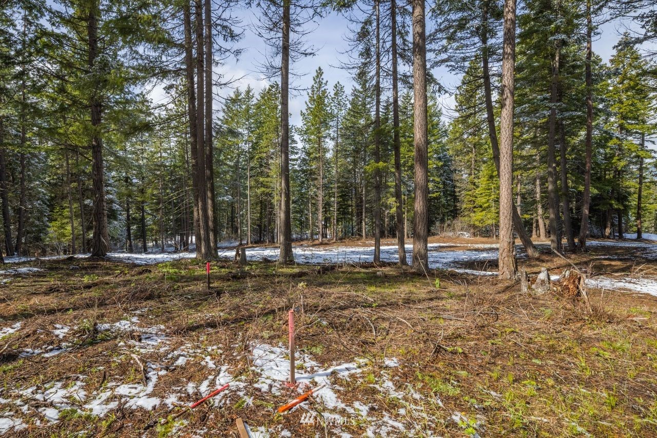 335 Evergreen Valley Loop Road, Unit LT20A Ronald, WA 98940 - Photo 8 of 26 Gallery Image 8