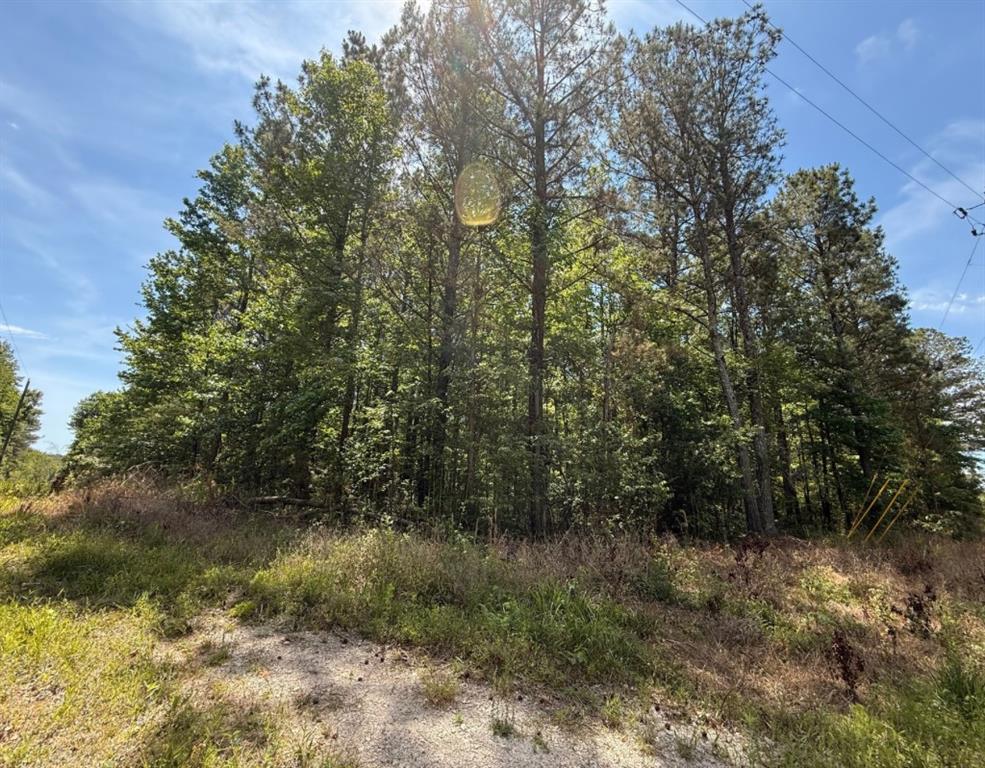 467 Raburn Road Bremen, GA 30110 - Photo 2 of 9 a view of a forest with a lake