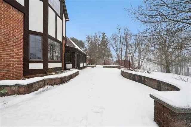 a street view with large trees