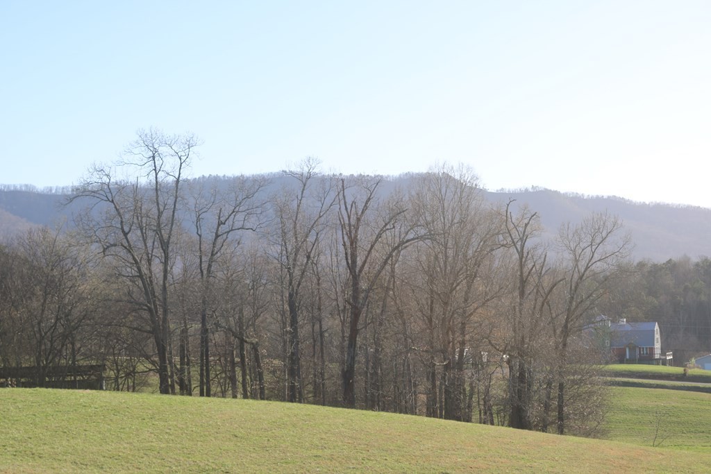 22 County Line Road Sevierville, TN 37876 - Photo 4 of 9 Gallery Image 4