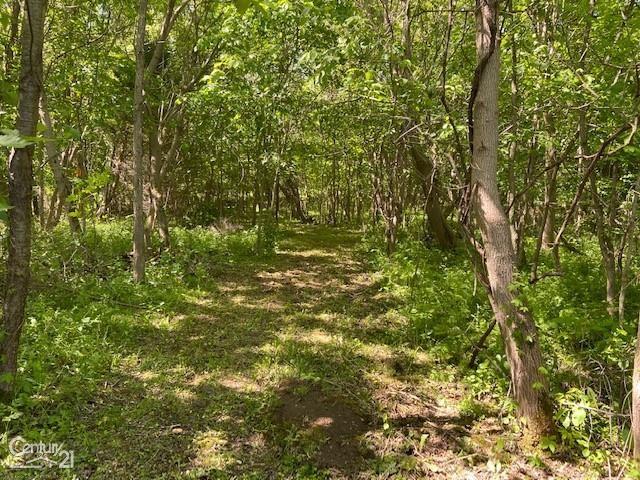 0 Marshall Road Ann Arbor, MI 48104 - Photo 6 of 7