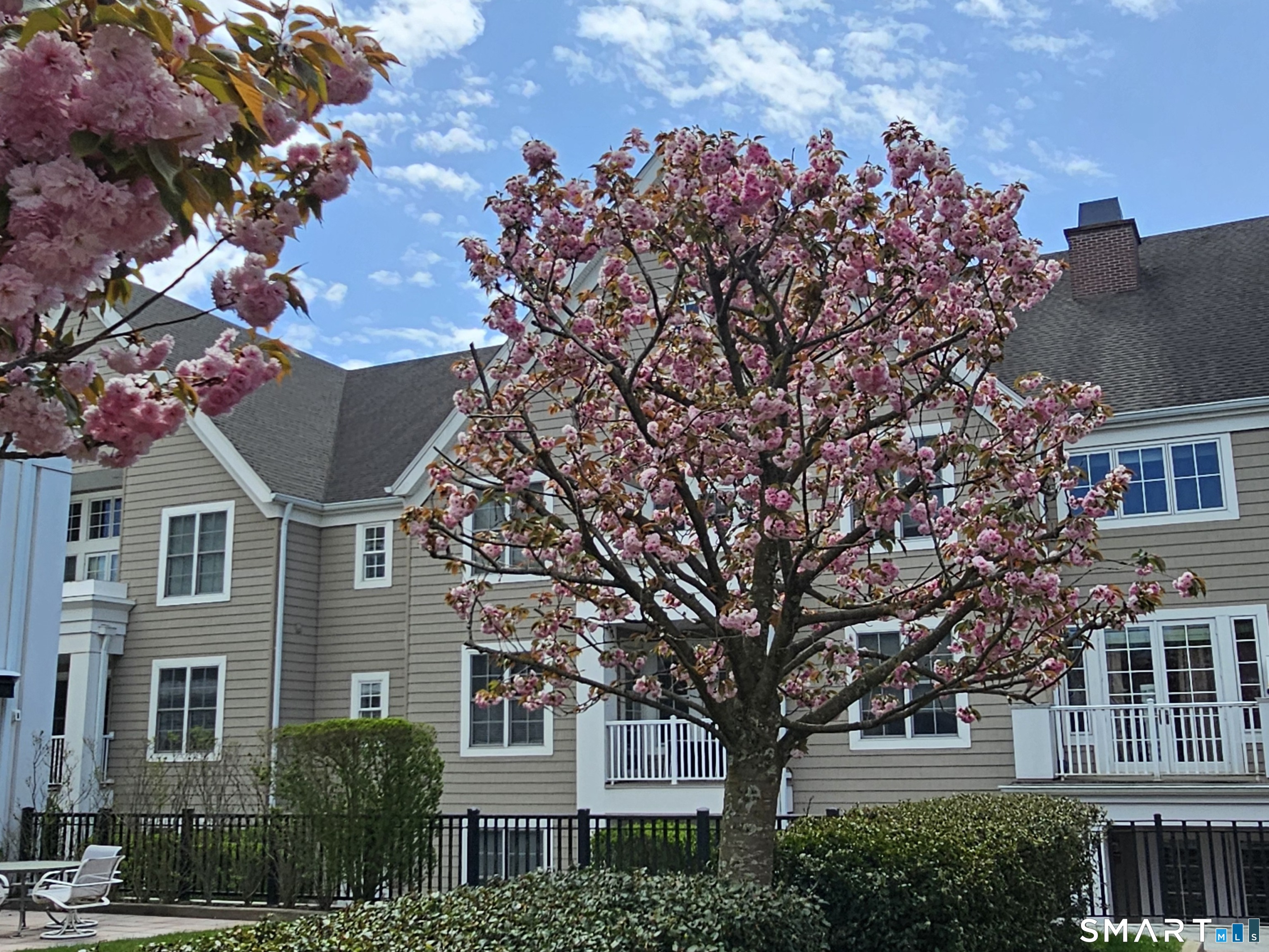 77 Havemeyer Lane, Unit 310 Stamford, CT 06902 - Photo 5 of 5