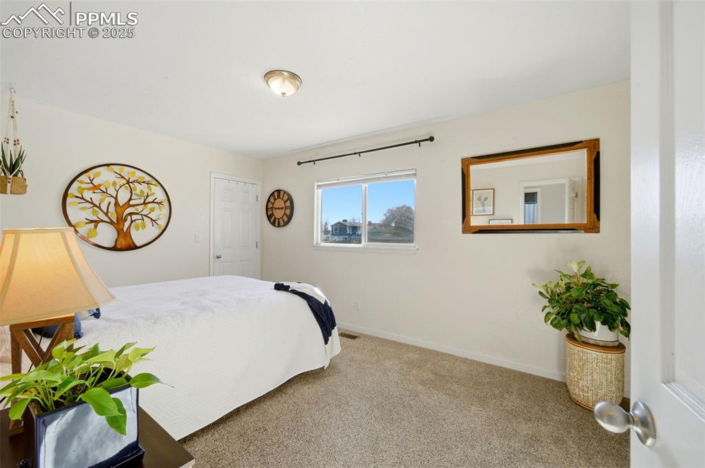 509 Harvest Moon Road Fountain, CO 80817 - Photo 13 of 29