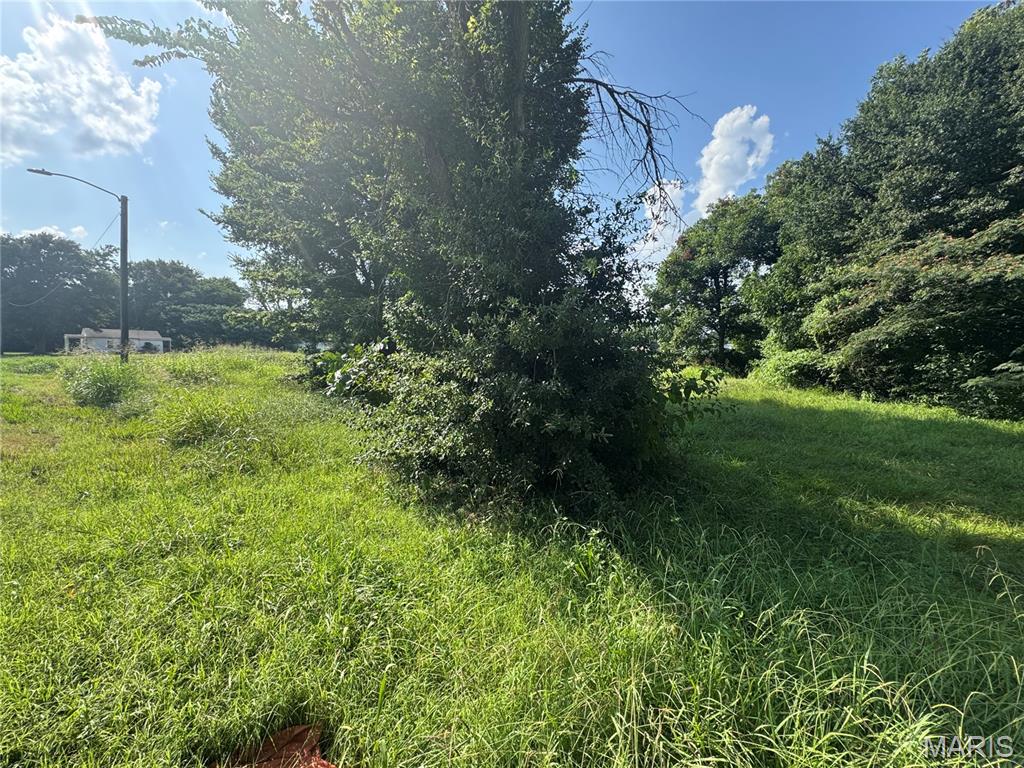 0 3rd Kennett, MO 63857 - Photo 2 of 4