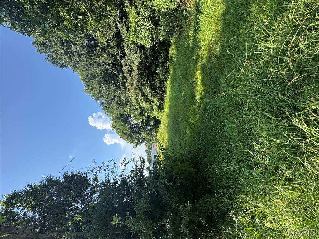 0 3rd Kennett, MO 63857 - Photo 3 of 4