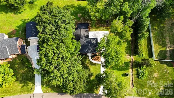 a view of a garden with plants