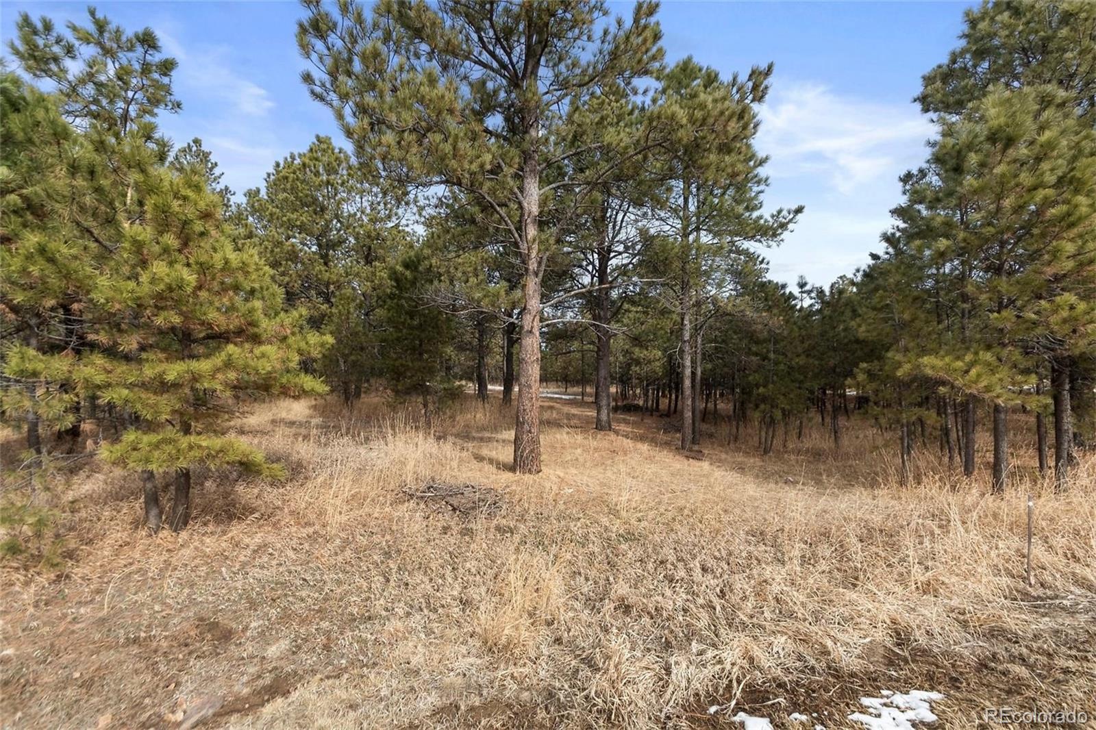 15364 Pole Pine Point Colorado Springs, CO 80908 - Photo 11 of 30