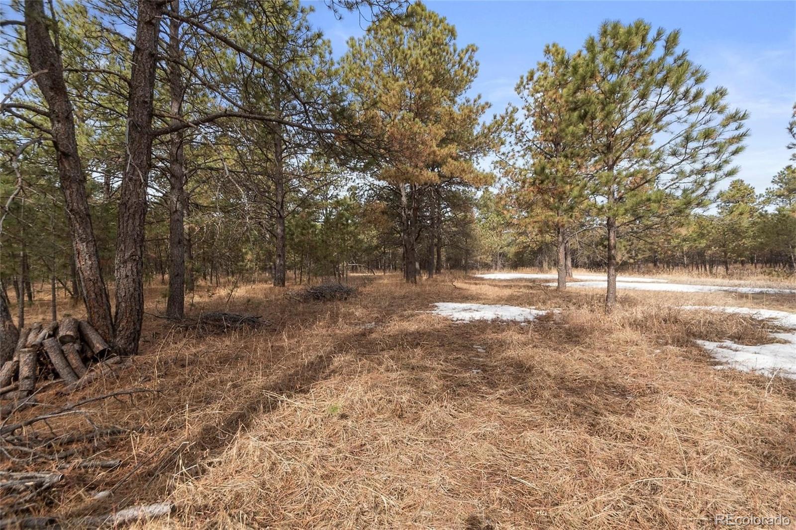 15364 Pole Pine Point Colorado Springs, CO 80908 - Photo 13 of 30
