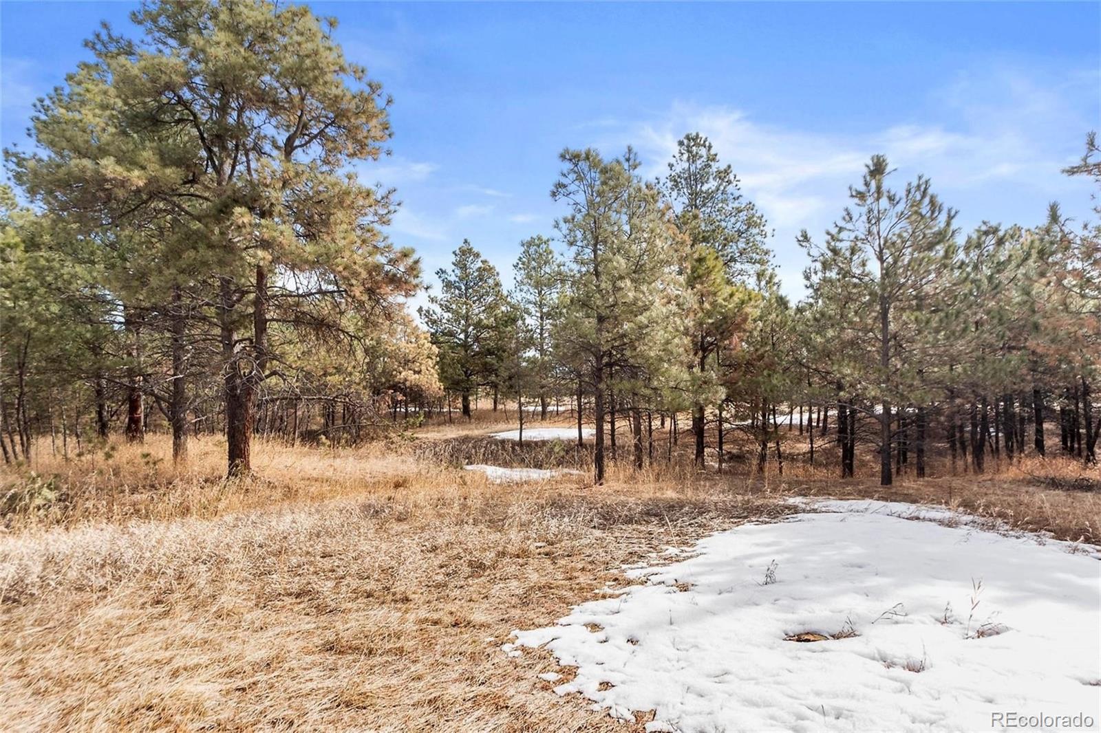 15364 Pole Pine Point Colorado Springs, CO 80908 - Photo 15 of 30