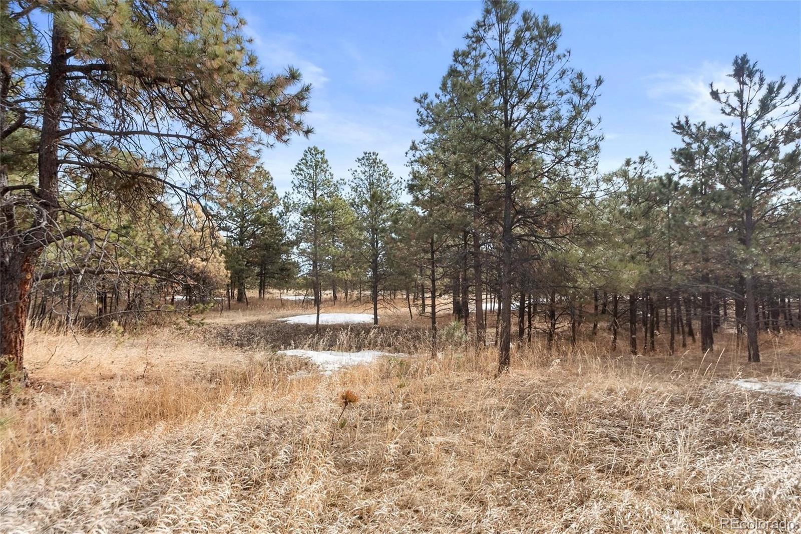 15364 Pole Pine Point Colorado Springs, CO 80908 - Photo 16 of 30