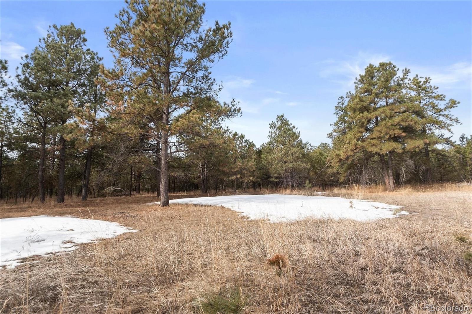15364 Pole Pine Point Colorado Springs, CO 80908 - Photo 17 of 30