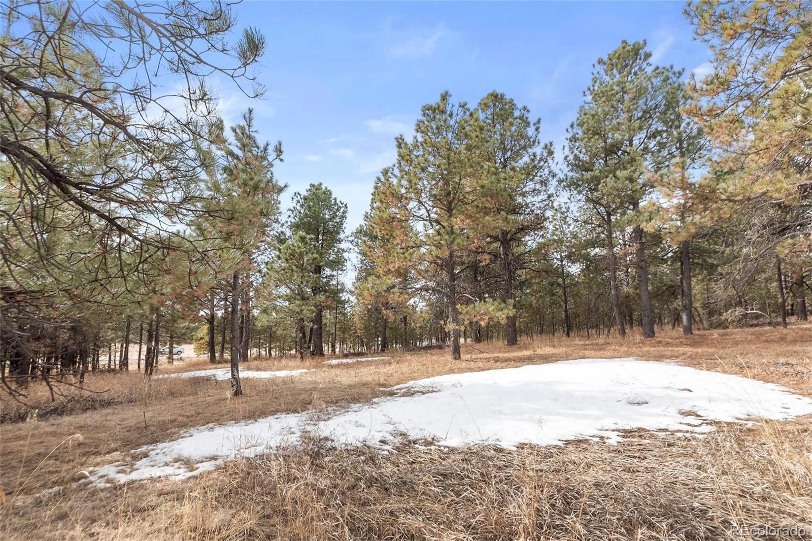 15364 Pole Pine Point Colorado Springs, CO 80908 - Photo 18 of 30