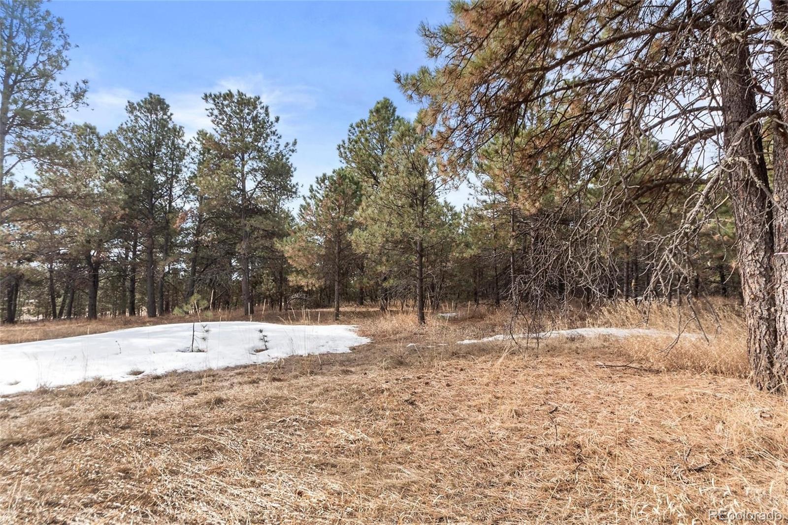15364 Pole Pine Point Colorado Springs, CO 80908 - Photo 20 of 30
