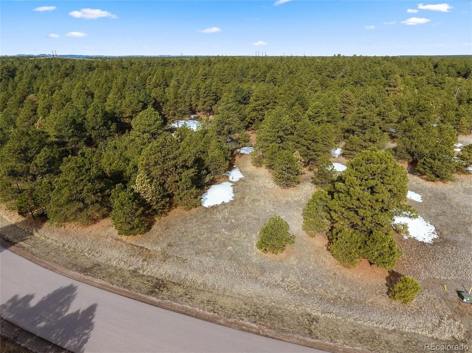 15364 Pole Pine Point Colorado Springs, CO 80908 - Photo 2 of 30