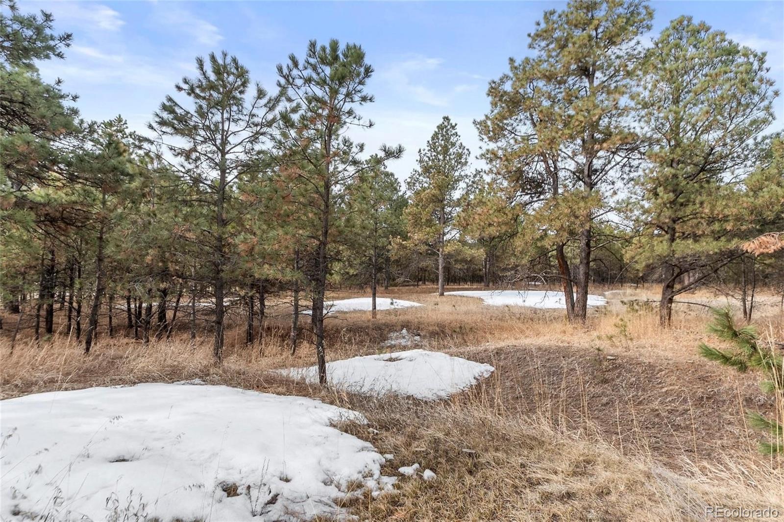 15364 Pole Pine Point Colorado Springs, CO 80908 - Photo 22 of 30