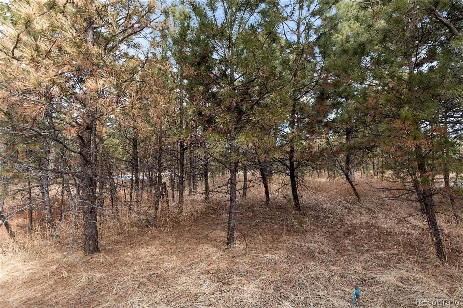 15364 Pole Pine Point Colorado Springs, CO 80908 - Photo 23 of 30